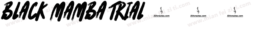 black mamba trial字体转换